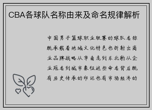 CBA各球队名称由来及命名规律解析