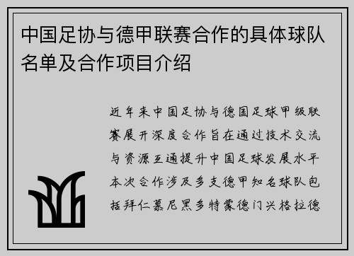 中国足协与德甲联赛合作的具体球队名单及合作项目介绍